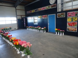 Tulipshow